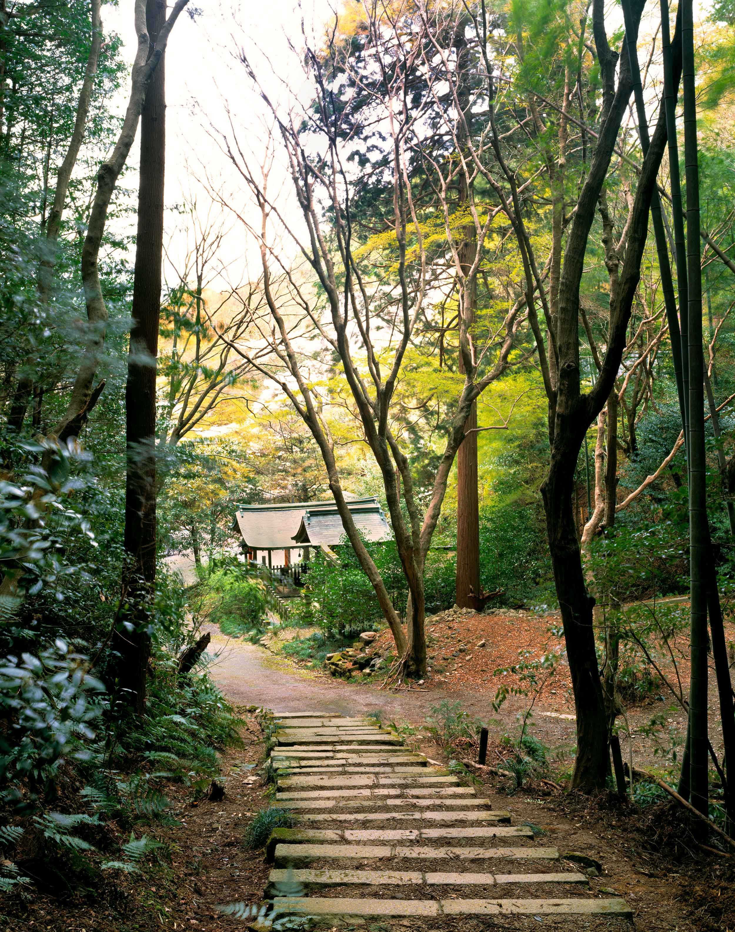 Himukai Path