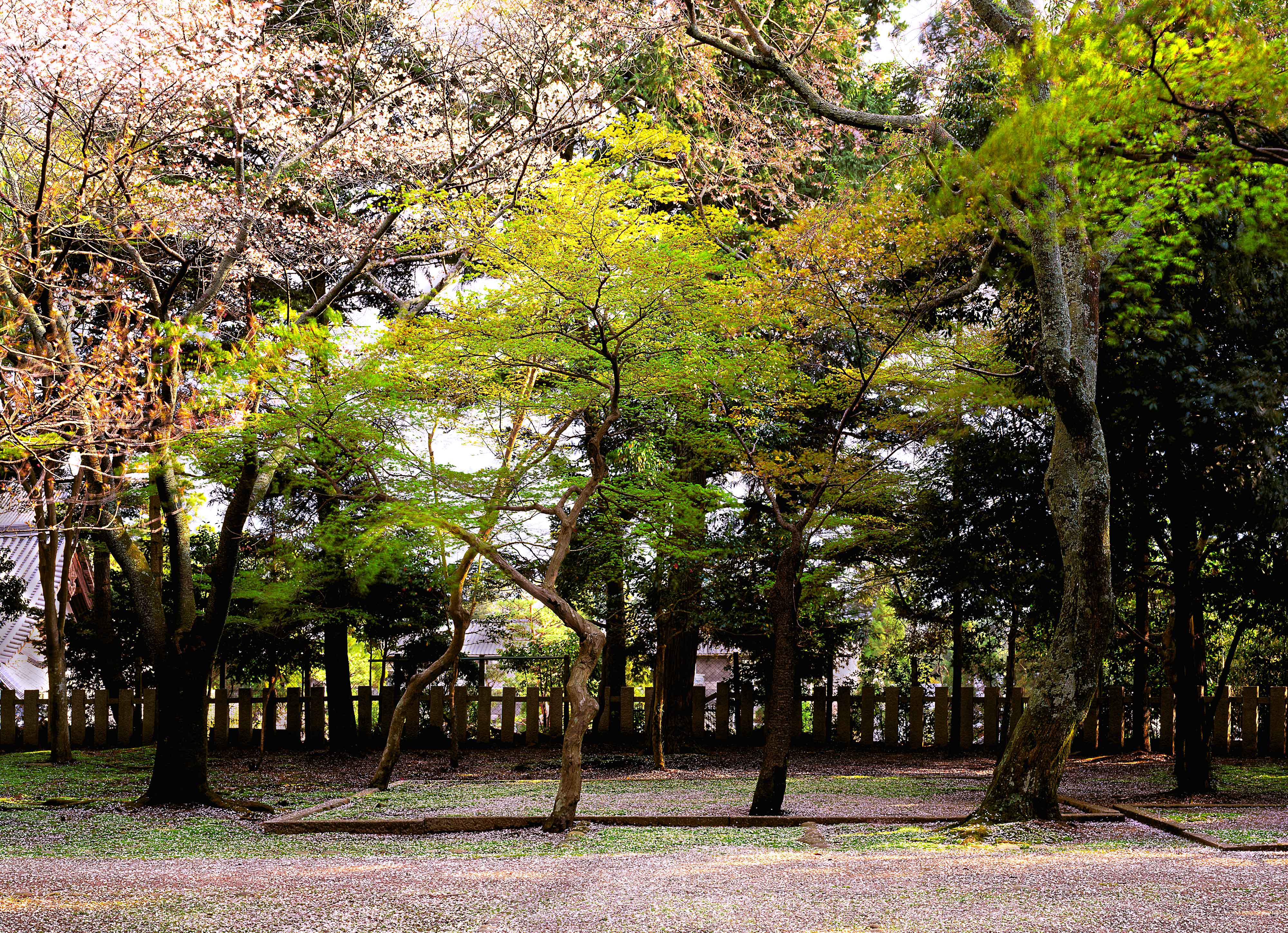 Park Nara