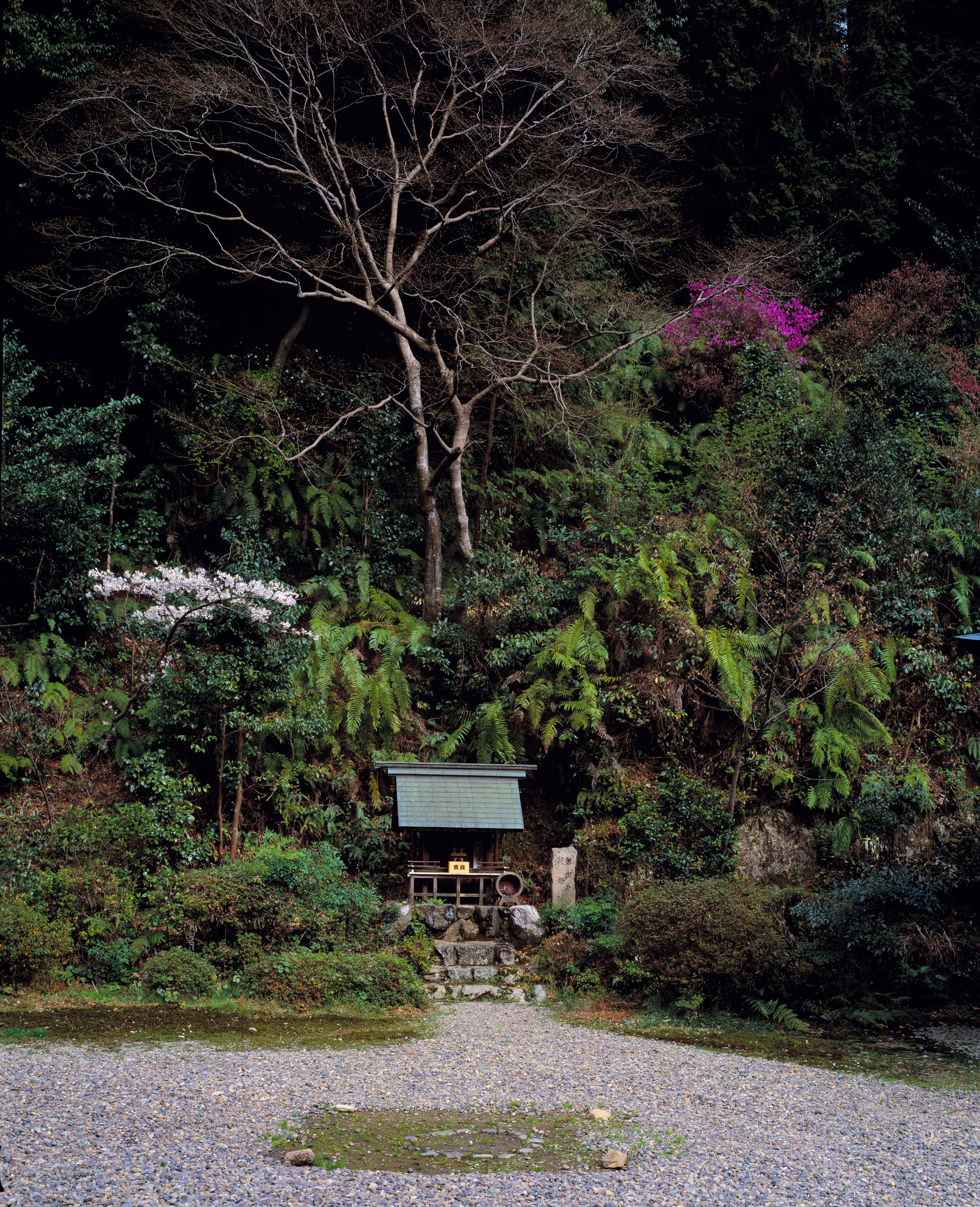 Shinto Garden
