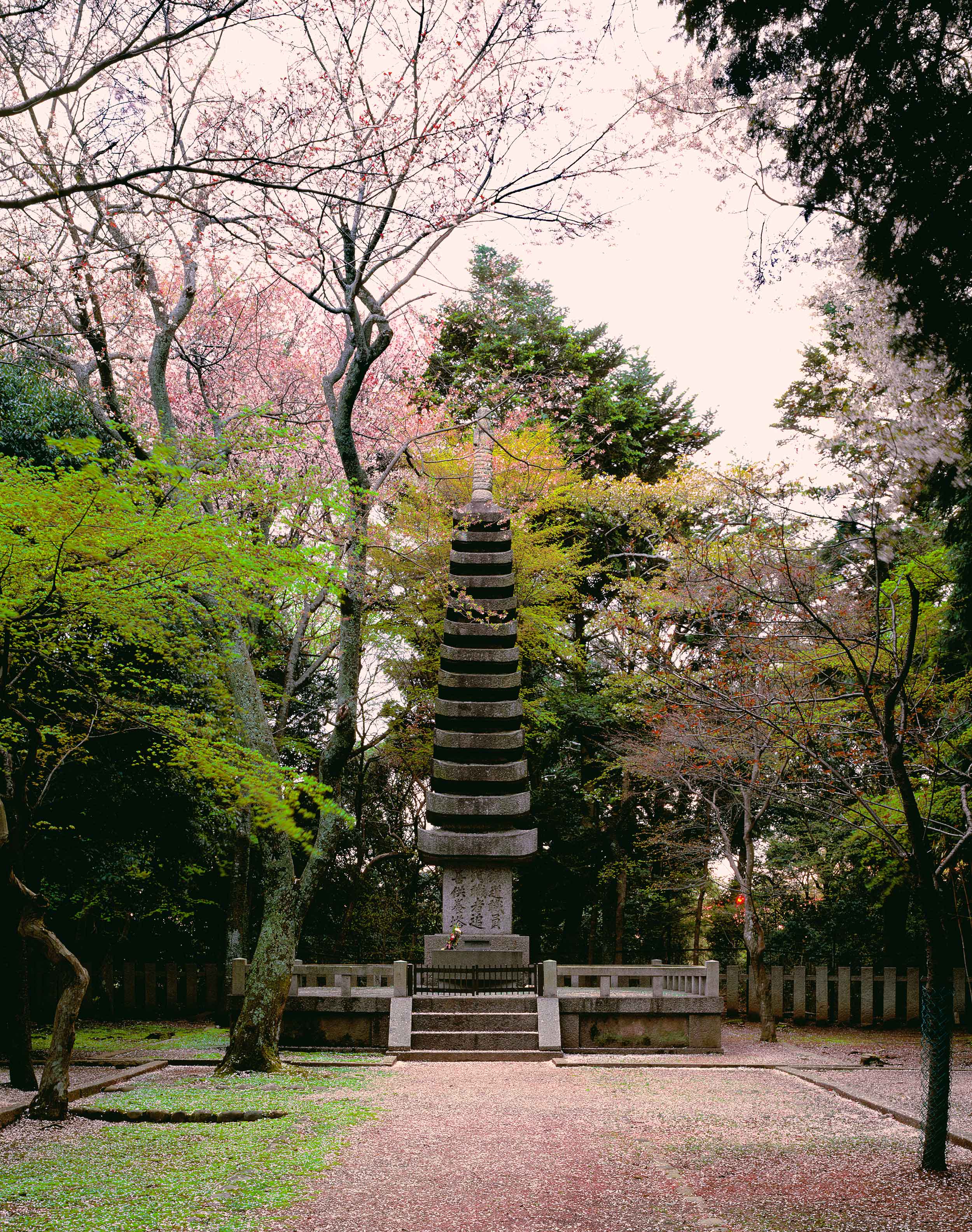 Pagoda Nara